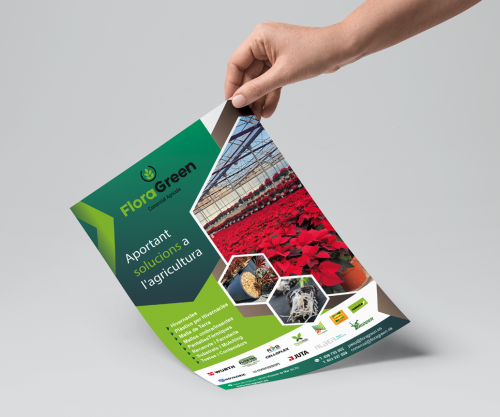 Flyer flora