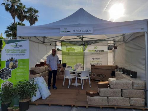 STAND1